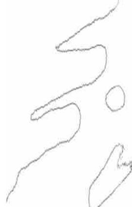 A minimal line drawing