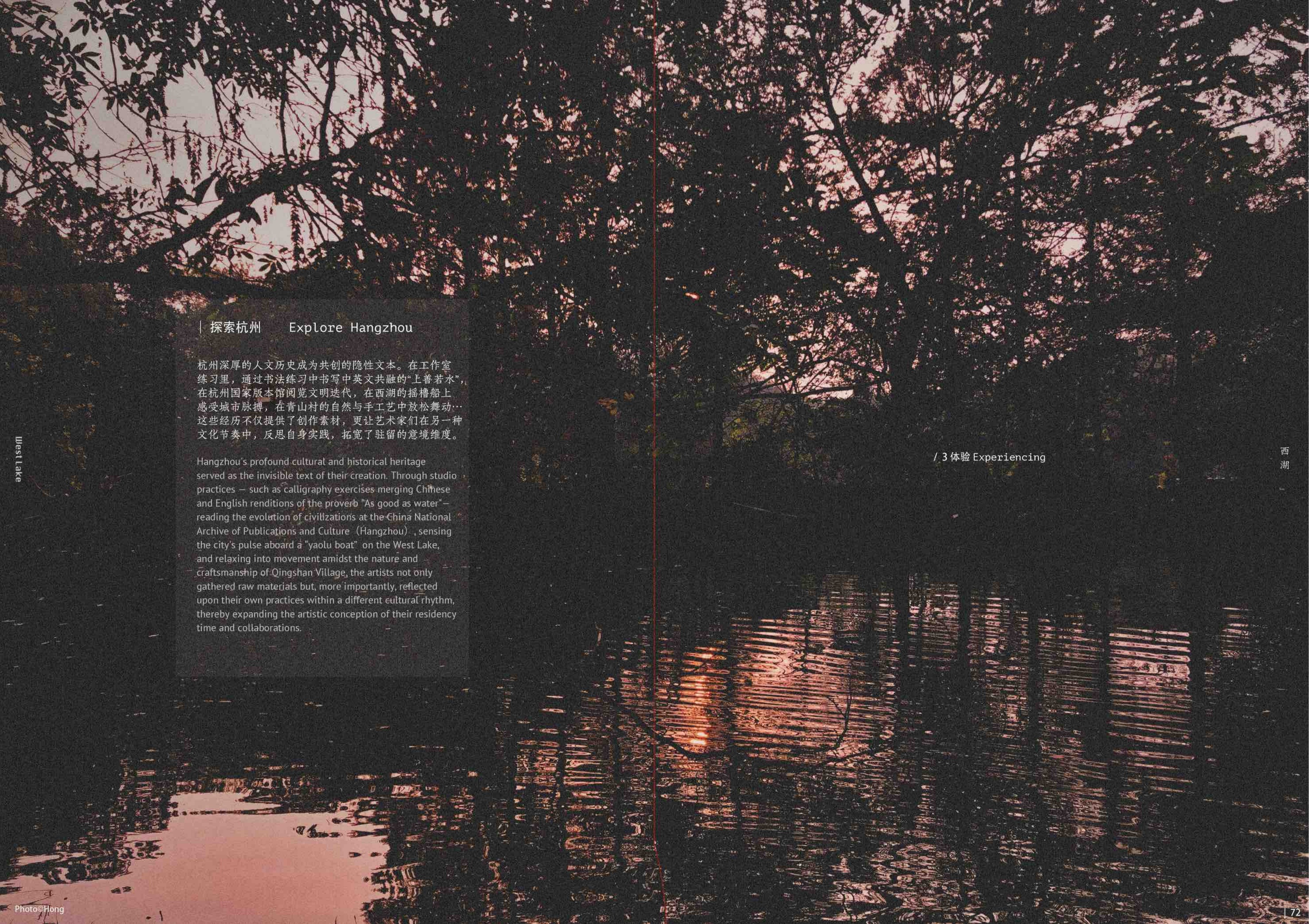 A dark landscape in Hangzhou