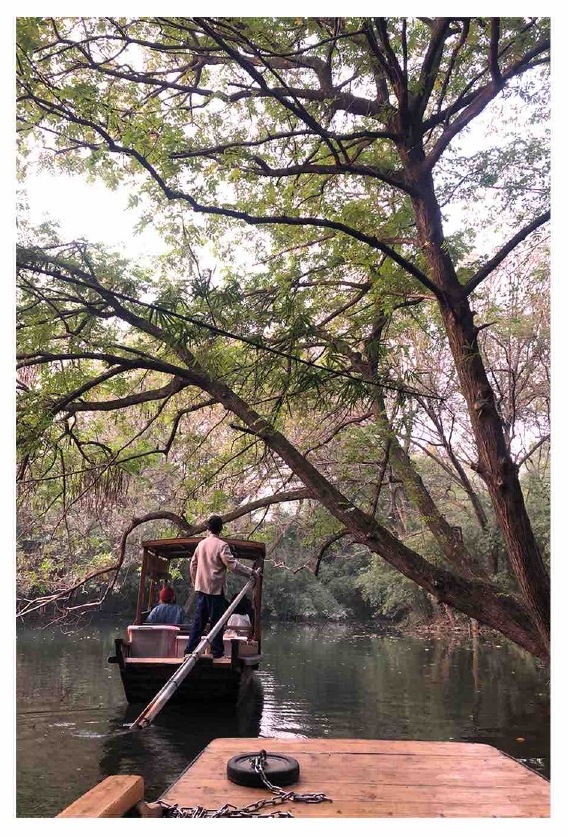A wooded Hangzhou scene